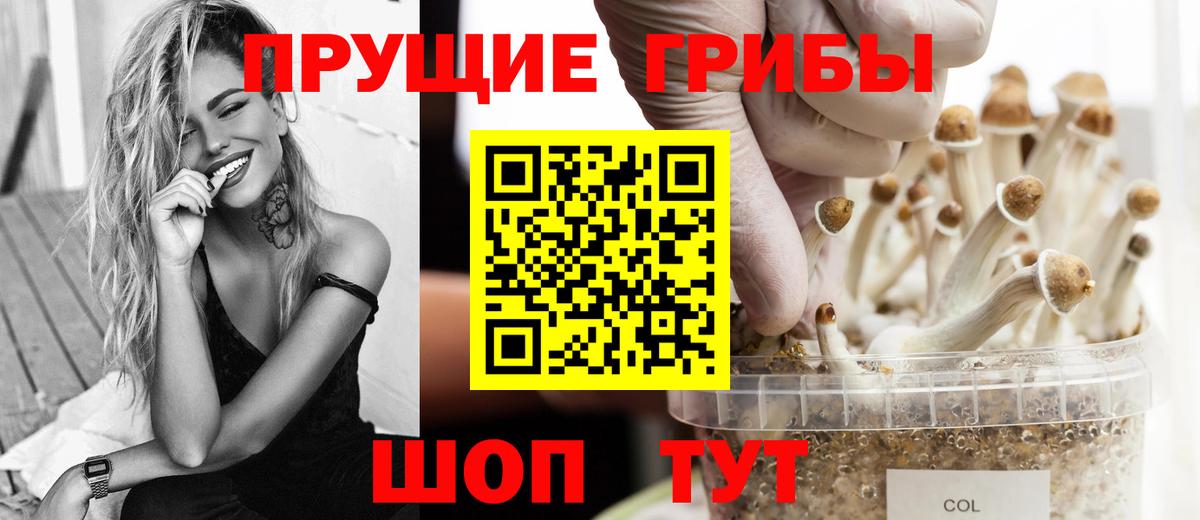 Галлюциногенные грибы Psilocybine cubensis  Вход с VPN  Обь 